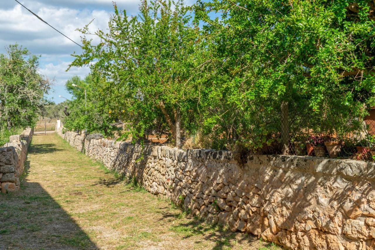 Can Fiolet Algaida (Mallorca) Exterior foto