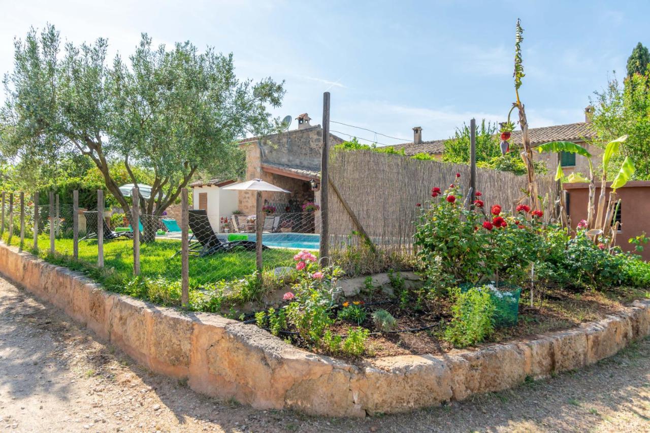 Can Fiolet Algaida (Mallorca) Exterior foto
