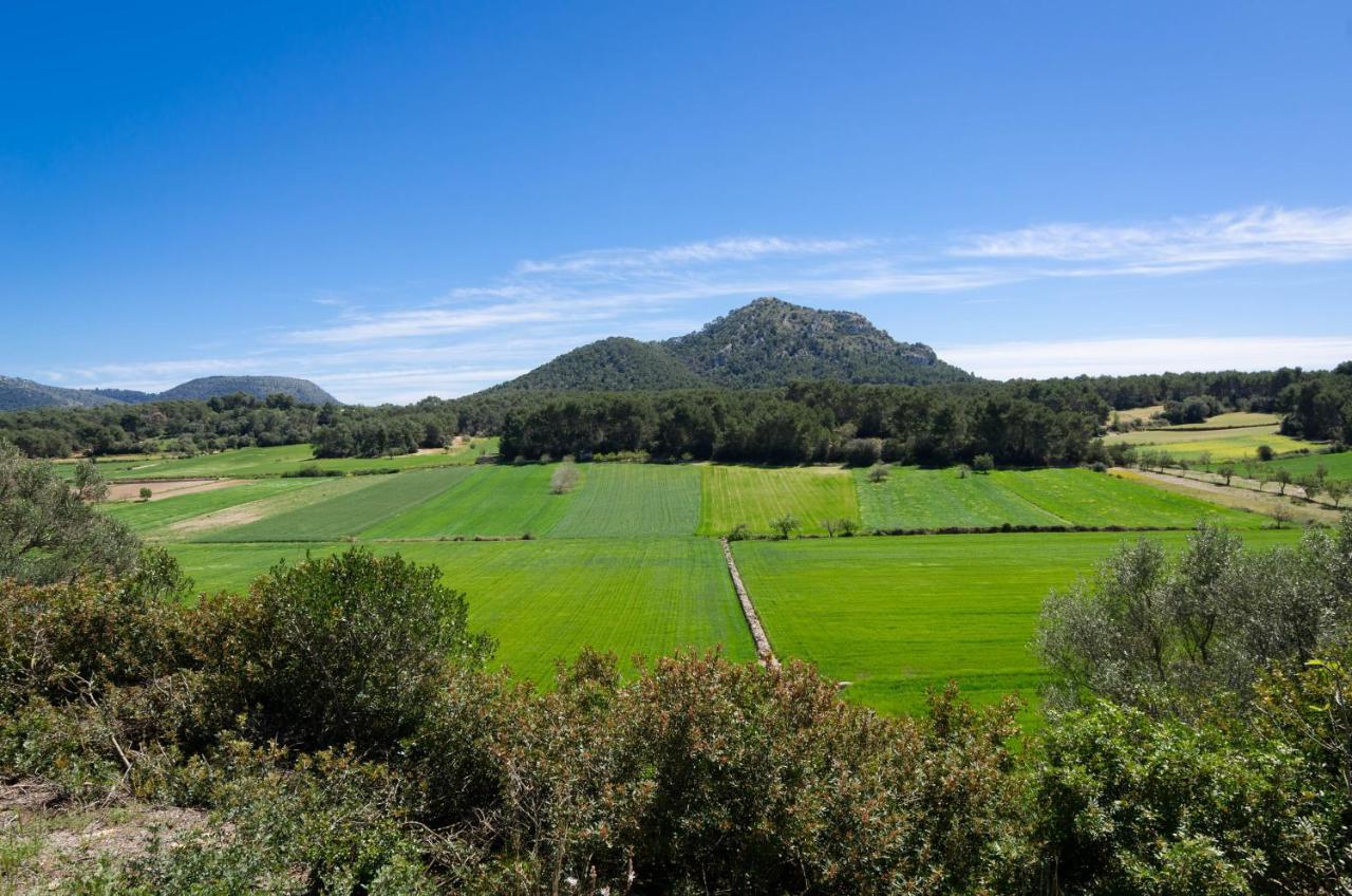Can Fiolet Algaida (Mallorca) Exterior foto